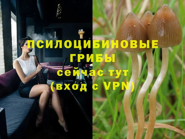 ешки Заволжье