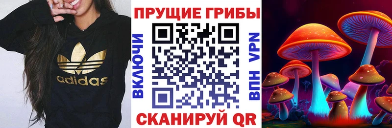 Галлюциногенные грибы Cubensis  Подольск 